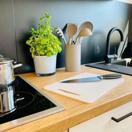 Ferien-apartment Riedperle Mit Privatstrandzugang Friedrichshafen