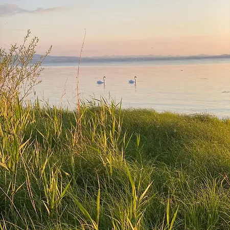 Ferien-apartment Riedperle - Mit Priv Strandzugang Lejlighed