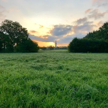 Ferien-apartment Riedperle - Mit Priv Strandzugang Lejlighed Friedrichshafen