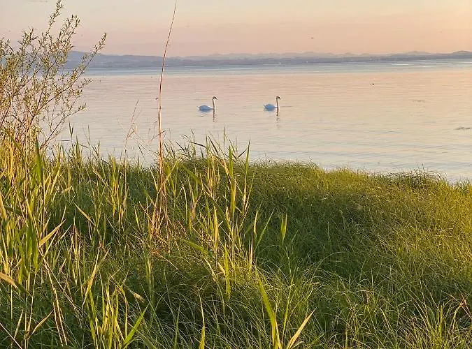 Ferien-apartment Riedperle - Mit Priv Strandzugang Appartement