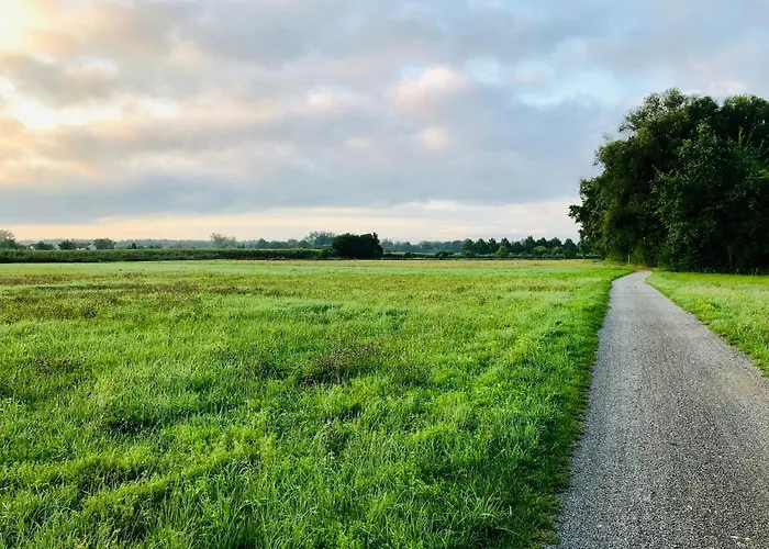 Ferien-apartment Riedperle - Mit Priv Strandzugang * Friedrichshafen