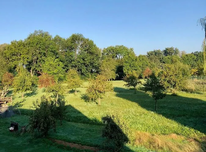 Ferien-apartment Riedperle - Mit Priv Strandzugang Appartement Friedrichshafen